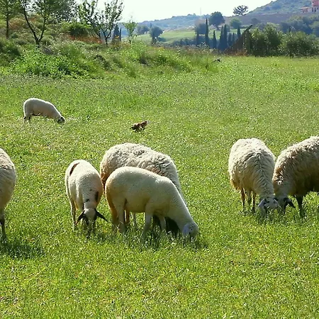 Poggio Del Sole Hotel *